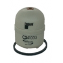 CS41003